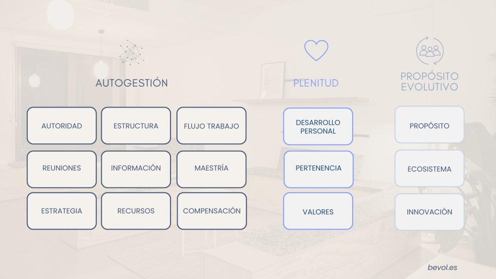 Mapa de un modelo organizativo 