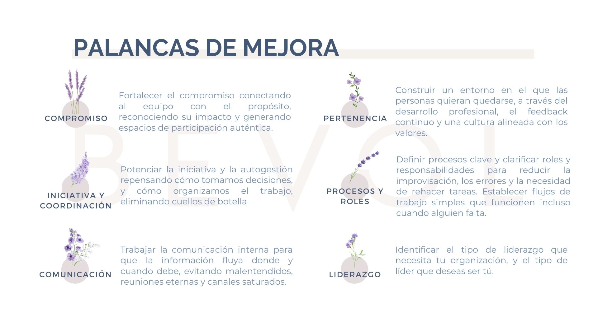 Palancas de mejora organizativa - Bevol